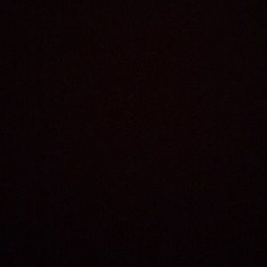 Meet your Posher, Raven